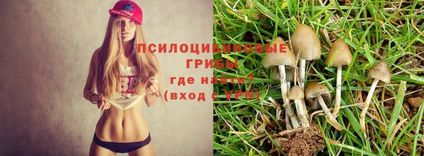 скорость mdpv Алзамай